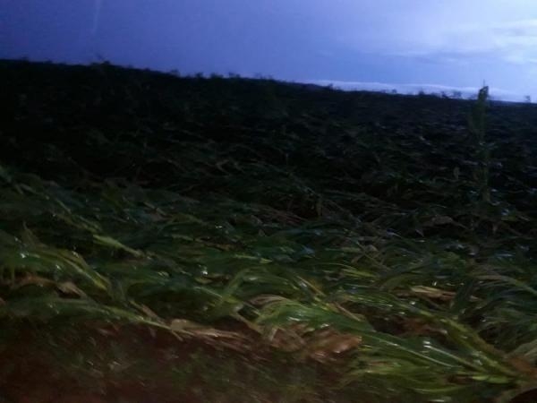 Mais imagens