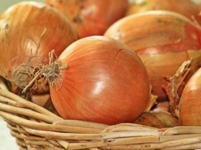 Mais imagens