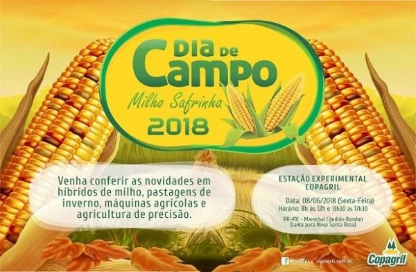 Mais imagens