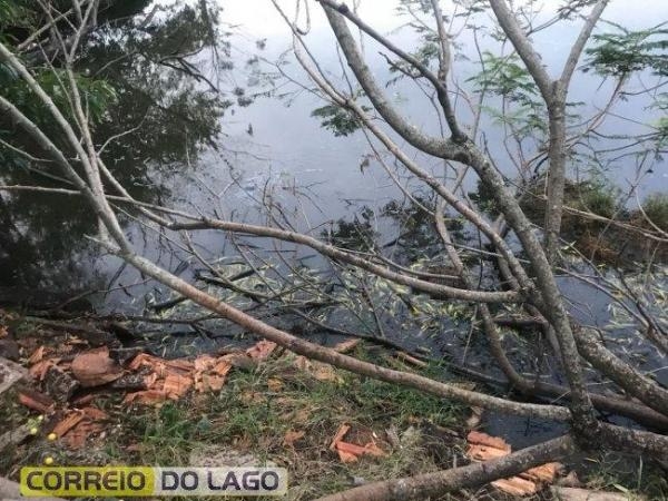 Mais imagens