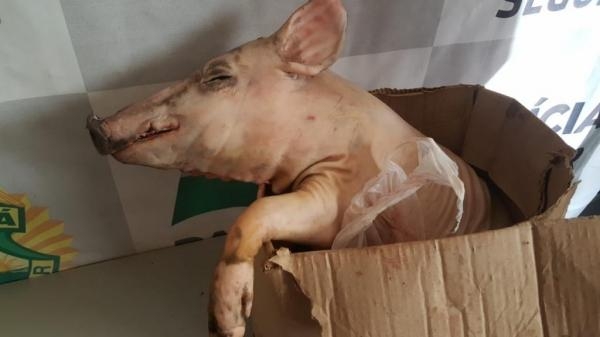 Mais imagens