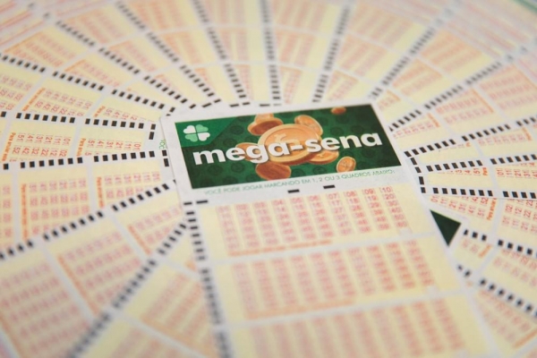 Bilhete volante loteria megasena mega sena versão 2018 (Foto: Marcelo Brandt/G1)
