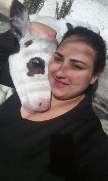 Mais imagens