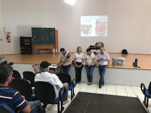 mais imagens