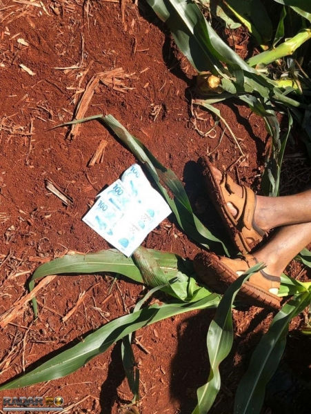 Fotos: Polícia Civil