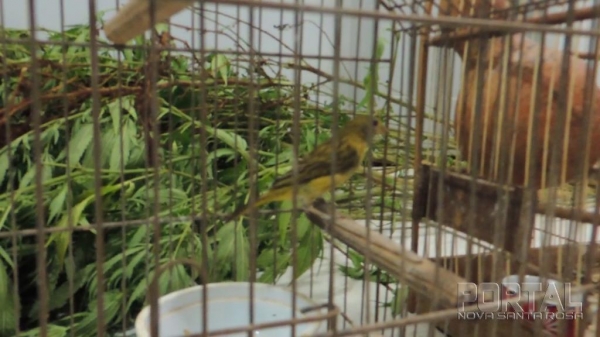 Fotos: Bogoni/Radar BO/Catve