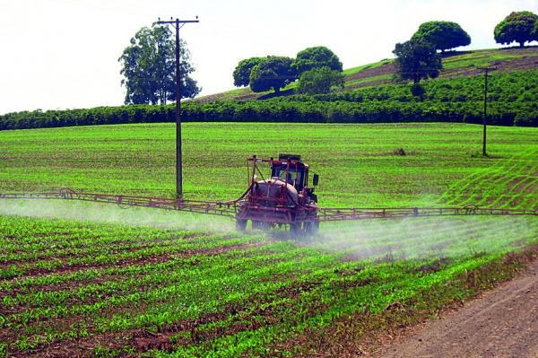 Uso de agrotóxicos nas lavouras é tema de debate no Paraná
