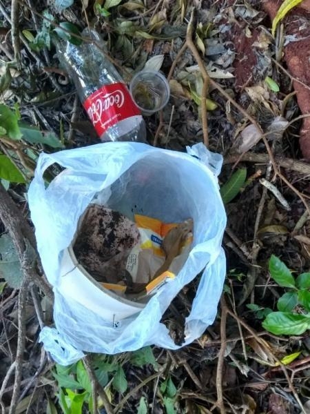 Mais imagens