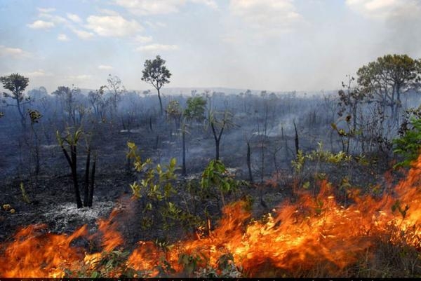 Segundo a matéria, mais de 70 pessoas, entre sindicalistas, produtores rurais, comerciantes e grileiros combinaram, por meio de um grupo de WhatsApp, incendiar as margens da BR-63, no Pará (Foto: Agência Brasil/arquivo)