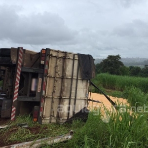 Foto: Fernanda Bourscheidt/Aqui Agora |