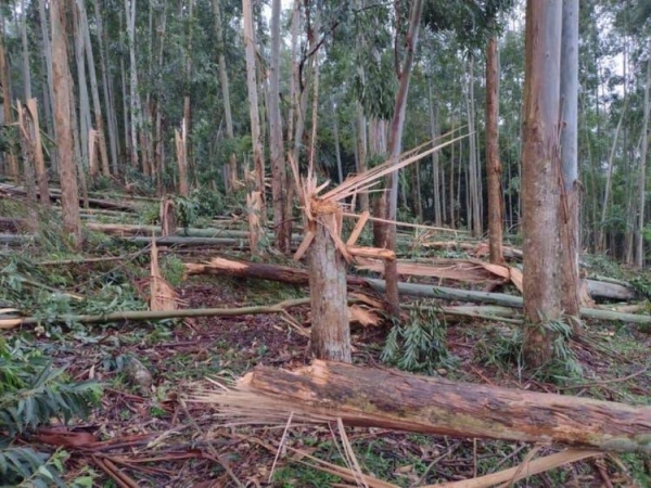 Foto: Piter Scheuer/NSC