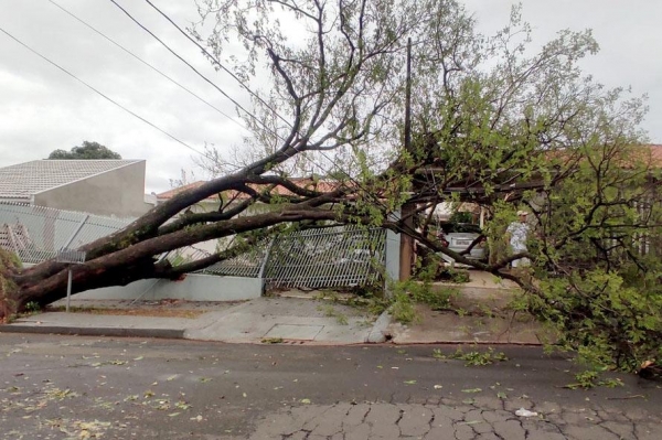 Pela Copel, mais de 2 mil eletricistas foram mobilizados para o enfrentamento da situação. Foto: Copel
