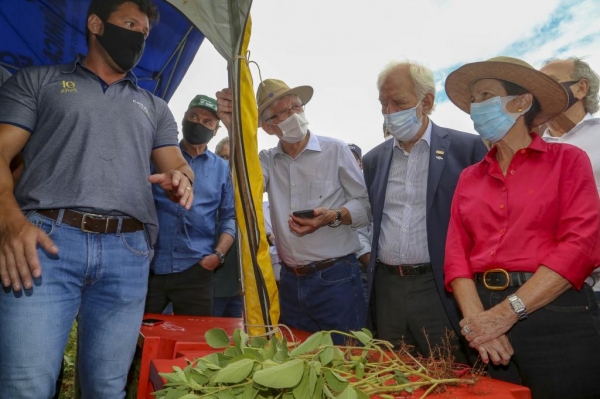 Acompanhada do vice-governador Darci Piana e do secretário Norberto Ortigara, a ministra da Agricultura, Pecuária e Abastecimento, Tereza Cristina ,esteve na região Oeste, onde visitou uma propriedade afetada pela crise hídrica e se reuniu com lideranças rurais. Foto: Gilson Abreu/AEN
