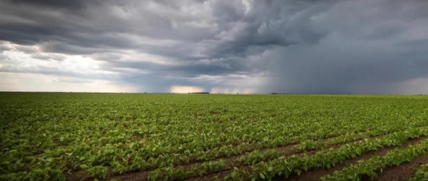 Foto: Sou Agro
