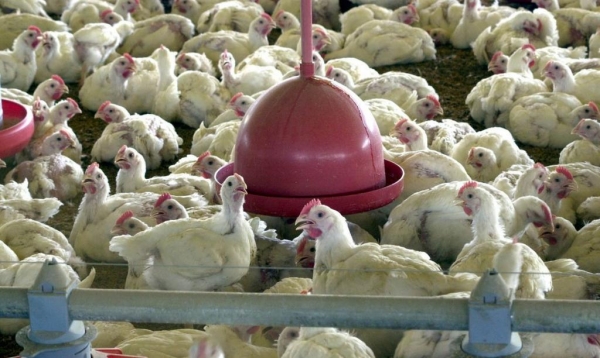 Foto: Agência Brasil/Arquivo