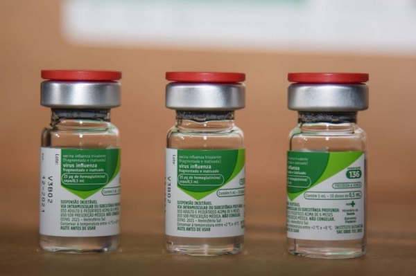 Campanha de vacinação contra a gripe começa em abril; confira os detalhes Foto: Américo Antonio/Arquivo SESA