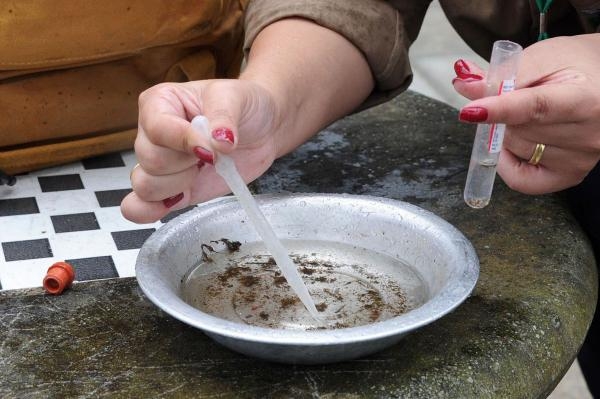 Paraná está em estado de epidemia desde abril (Foto: Venilton Kuchler/Arquivo SESA)    