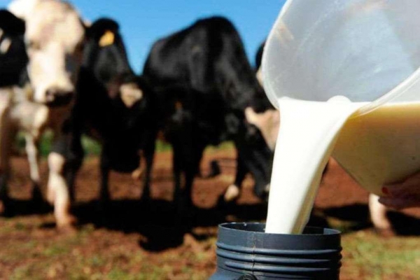 Débora Damasceno/Sou Agro com Faep