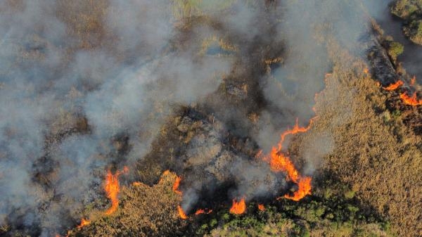 Incêndios ambientais tradicionalmente sobem após as primeiras geadas no Estado: vegetação seca (Foto: Frankin de Freitas)