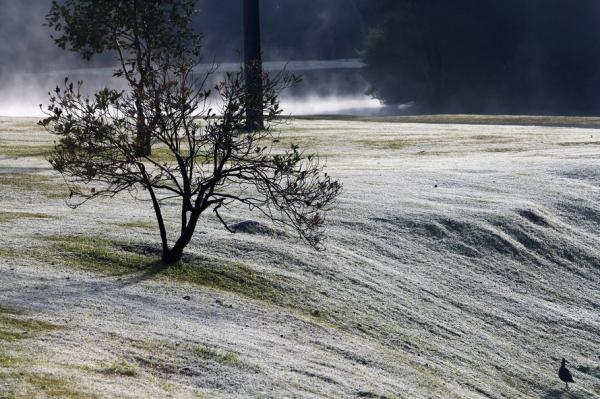 Temperaturas começam a cair a partir desta quarta (Orlando Kissner/Arquivo ANPr)