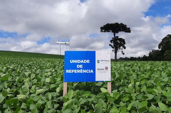 IDR-Paraná inicia os trabalhos da rede Alerta Ferrugem da soja safra 2022/2023 - Foto: IDR-PARANÁ