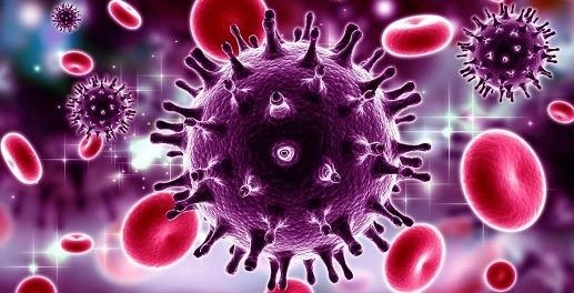 FOTO: Reprodução internet