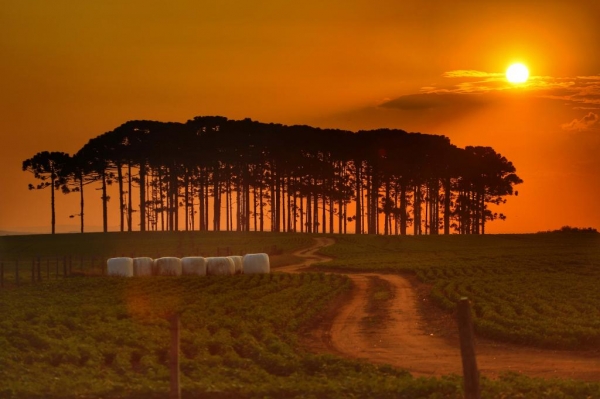 Paraná lança plataforma interativa com riscos de eventos climáticos nos municípios Foto: José Fernando Ogura/AEN