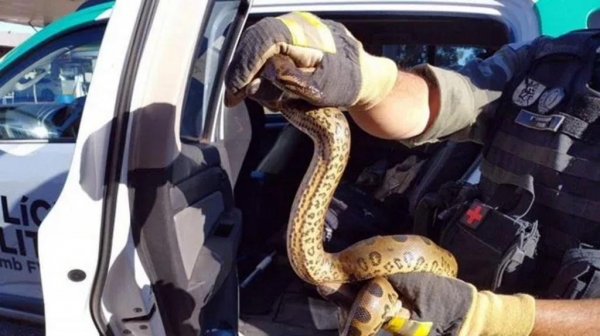 | Foto:  TN Online |