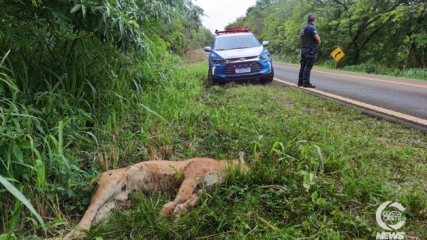 | Foto: Costa Oeste News |