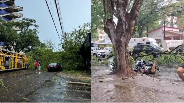 | Foto: Catve e RPC |