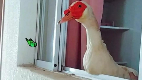 Foto: Arquivo pessoal