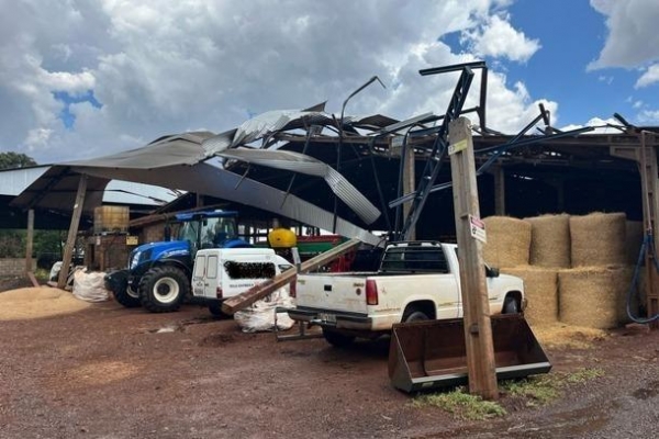  Foto: Portal da Cidade Pato Bragado |