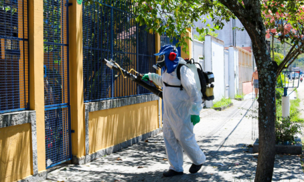 Brasil enfrenta situação de emergência devido ao aumento de casos de dengue