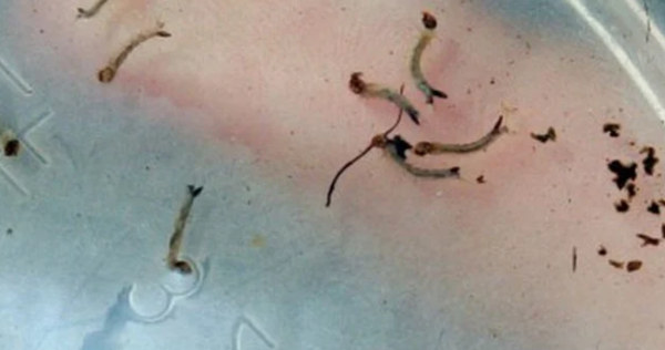 Marcelo Camargo/Agência Brasil