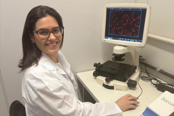 Pesquisadores estudam uso de composto na própolis para tratamento de câncer de mama Foto: Fundação Araucária