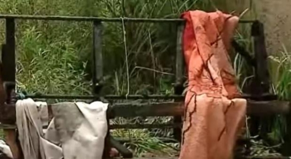 Foto: Reprodução/RICTV