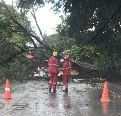 | Foto: Correio do Ar |