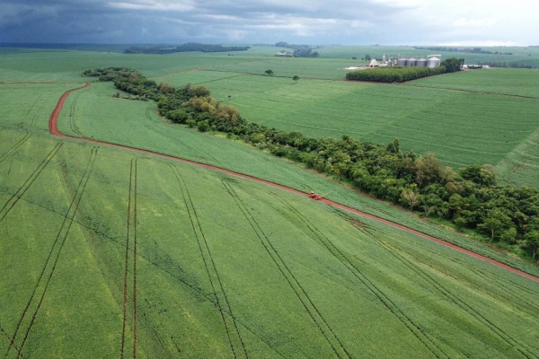 Produtores de milho 2.ª safra terminam o plantio no Paraná Foto: Gilson Abreu/AEN
