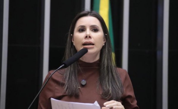 A deputada ressaltou que o relatório foi elaborado a partir de um diálogo técnico com produtores rurais e representantes do setor produtivo