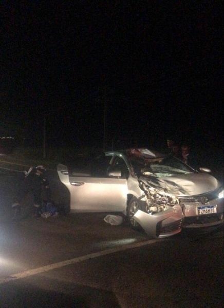 Um acidente envolvendo um Toyota Corolla foi registrado na noite deste domingo (15), na rodovia PR-364, nas proximidades do trevo que dá acesso ao distrito de Alto Alegre, no município de Terra Roxa. O automóvel, com placas do estado de São Paulo, colidiu com uma vaca que estava solta sobre a pista.  O impacto foi violento e causou danos significativos na parte frontal do veículo. Equipes do Serviço de Atendimento Móvel de Urgência (Samu) foram acionadas e prestaram os primeiros socorros aos ocupantes do carro. Até o momento, não foram divulgadas informações oficiais sobre o estado de saúde das vítimas.  Populares que passaram pelo local relataram que, além da vaca atingida, uma segunda também estaria circulando pela região, aumentando os riscos de novos acidentes.  A Polícia Militar Rodoviária esteve presente na ocorrência para sinalizar a via e coletar informações sobre o fato. As circunstâncias da presença dos animais na rodovia devem ser apuradas. Caso seja identificado o responsável pelos animais, ele poderá responder por eventuais danos causados.  A presença de animais soltos em rodovias segue sendo uma preocupação constante em diversas regiões do Oeste do Paraná, especialmente em trechos próximos a áreas rurais.