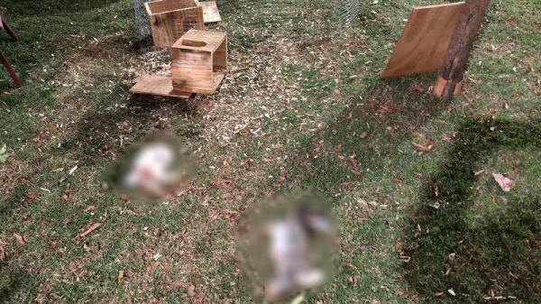 Fotos: Arquivo familiar