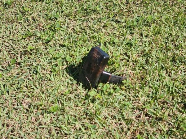 Foto: Portal Palotina