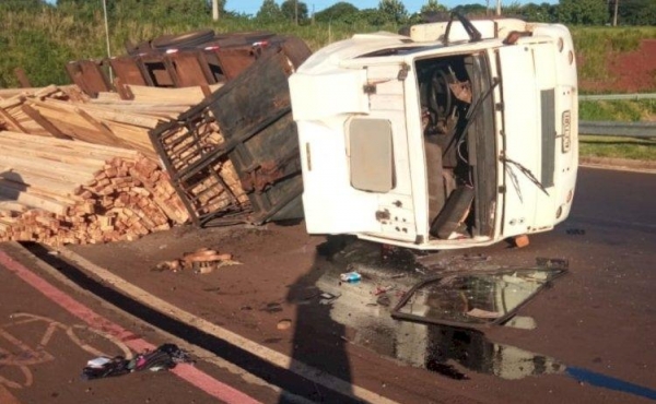 | Foto: Alemão da Roça |