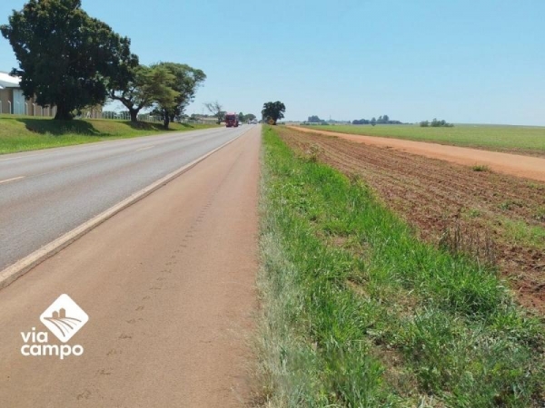 | Foto: Divulgação |